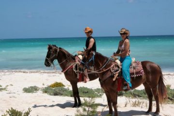 horseback riding from riviera maya in riviera maya