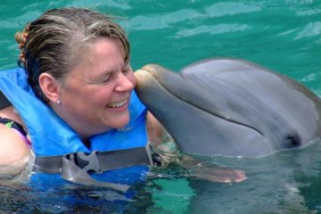 riviera-maya-small-group-wildlife-adventure-manatees-and-dolphins-in-riviera-maya-162806